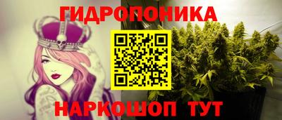 индика Первоуральск