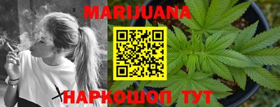 стафф Пенза