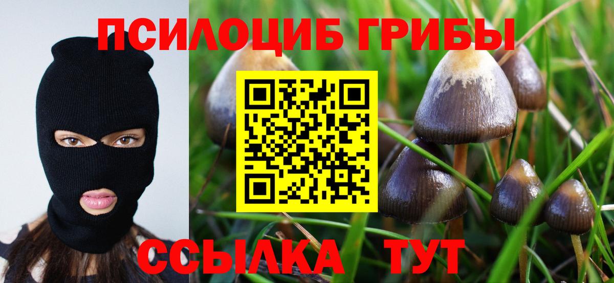 Псилоцибиновые грибы ЛСД  Вход с VPN  Спасск-Дальний  Псилоцибиновые грибы Psilocybe 